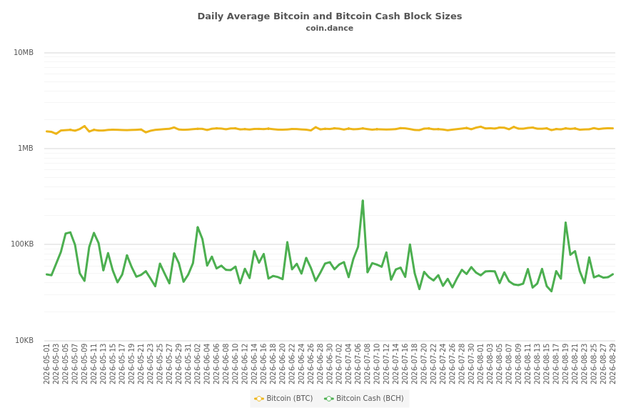 Bitcoin and Bitcoin Cash Block Sizes