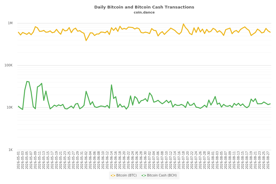 Bitcoin and Bitcoin Cash Transactions